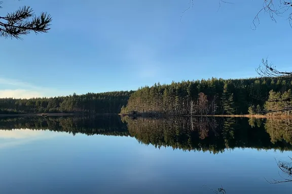 Market First, Code Later: A Strategic Approach to Product Development Header Image