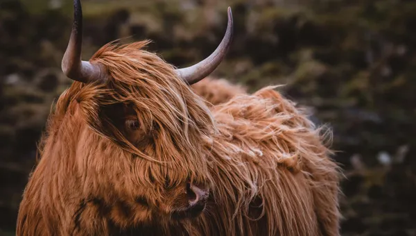 Simplifying Rails Controllers with Concerns - Real-world Examples from Our Projects