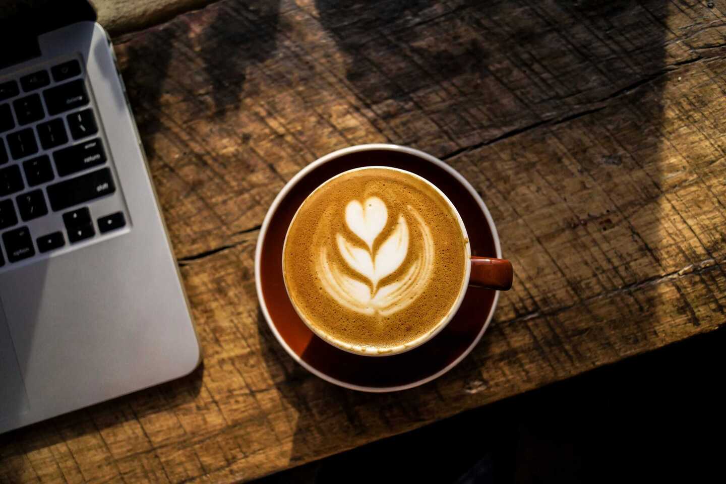 Empowering startup success