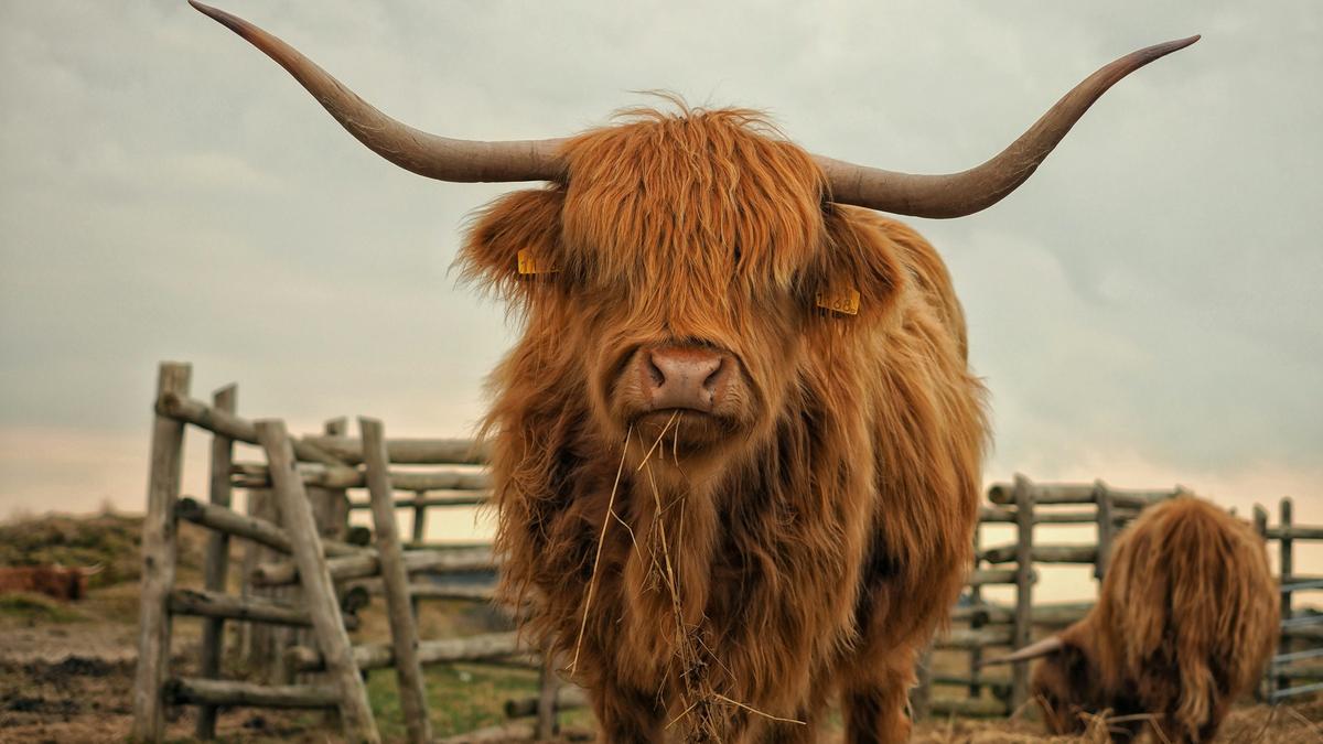 How to use Rails Model Concerns blog post header image