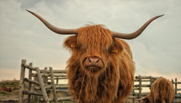 How to use Rails Model Concerns